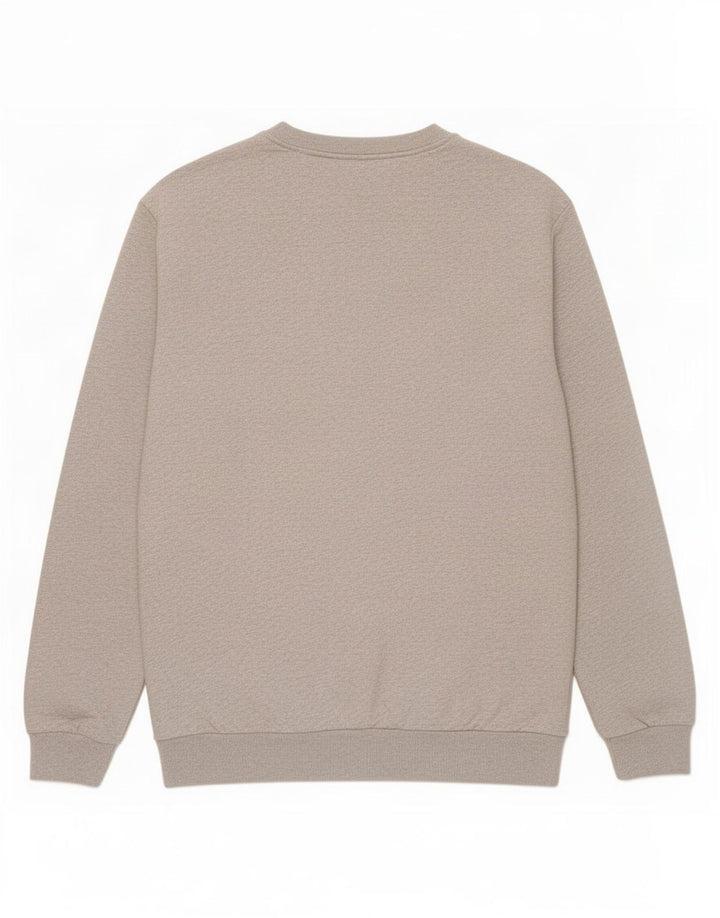 Ανδρικό γραφικό φούτερ Jack Wills Jumper Large Grey