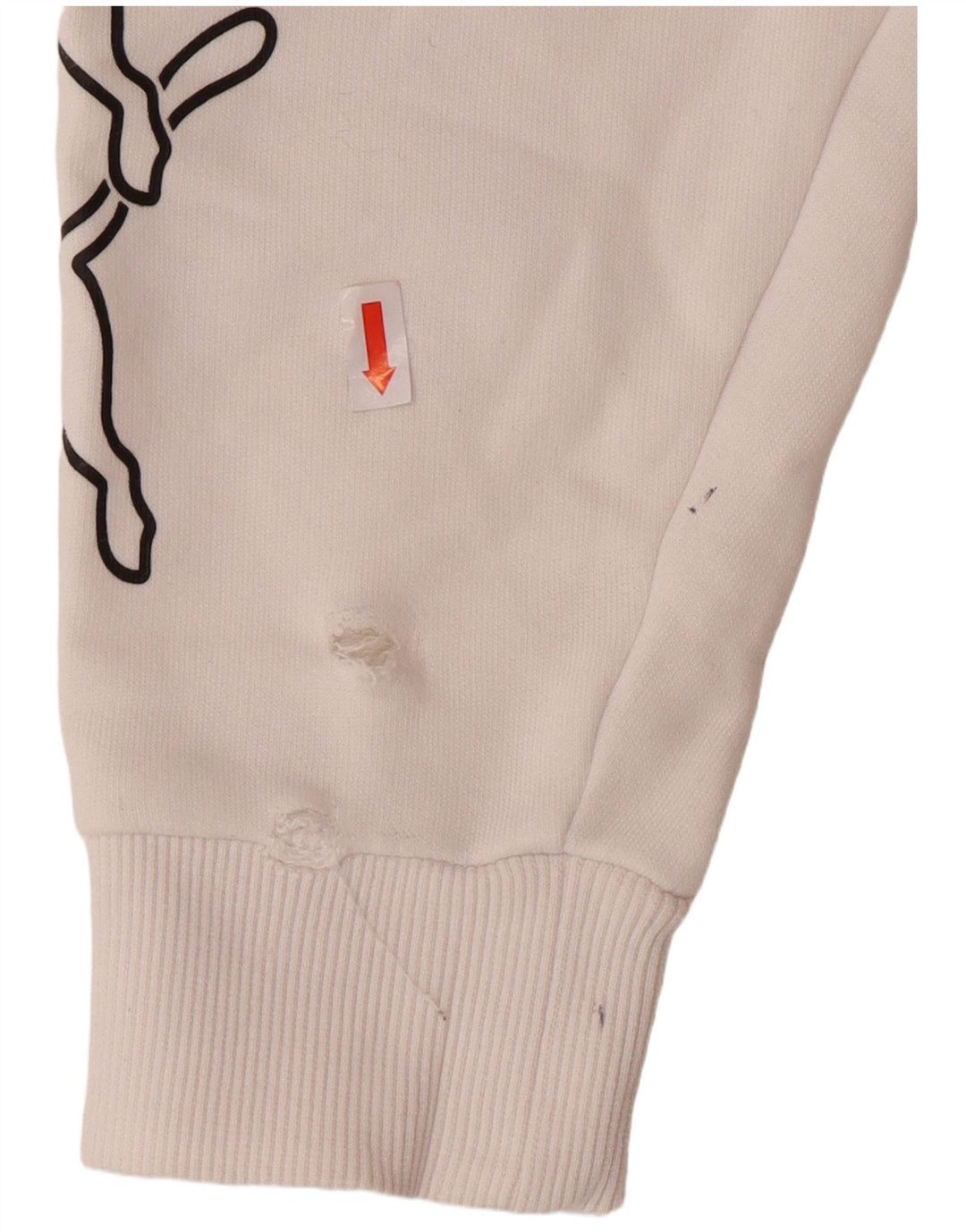 Γυναικεία κουκούλα με κουκούλα μεγάλου μεγέθους PUMA UK 10 μικρά βαμβακερά