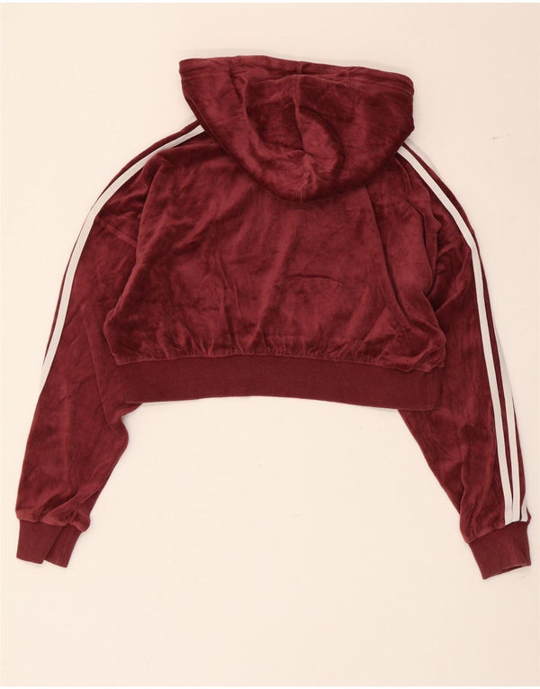Γυναικεία Adidas Oversized Graphic Crop Hoodie Jumper UK 4 XS Βαμβακερό μπορντό