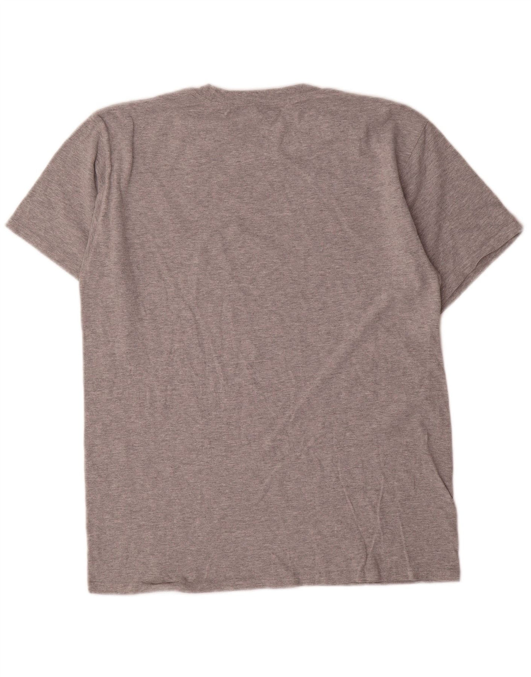 Ανδρικό γραφικό T-Shirt Champion Top Μεσαίο γκρι βαμβακερό