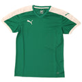 Ανδρικό γραφικό μπλουζάκι Puma Top μεσαίο πράσινο χρώμα