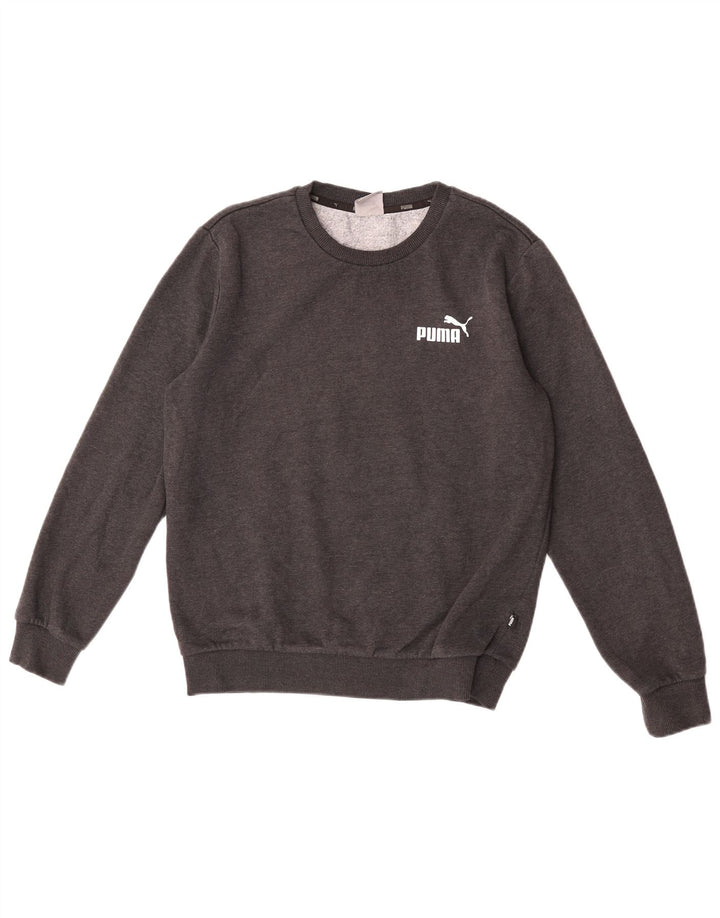 Ανδρικό φούτερ Puma Jumper Μικρό Γκρι Βαμβακερό
