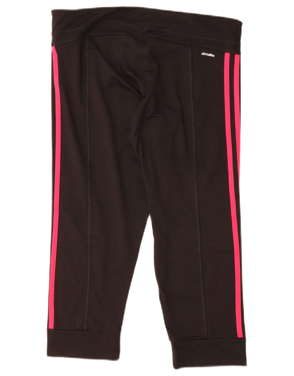 Adidas Γυναικεία φόρμα Climalite Παντελόνια Joggers UK 12/14 Medium Black