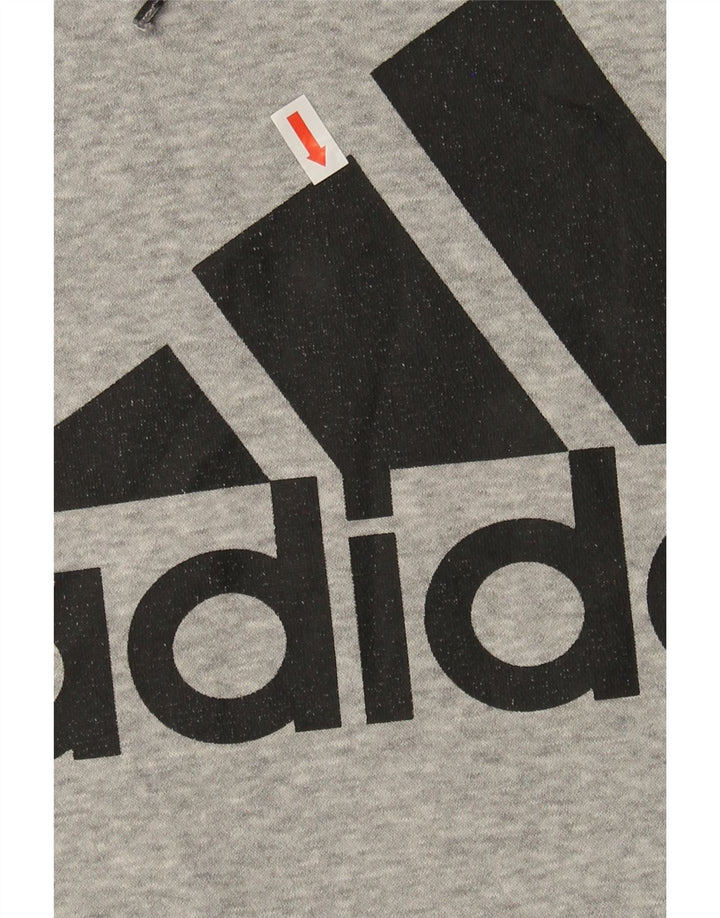 ADIDAS Mens Graphic Hoodie Jumper Medium Grey Cotton Vintage Adidas and Second-Hand Adidas from Messina Hembry 