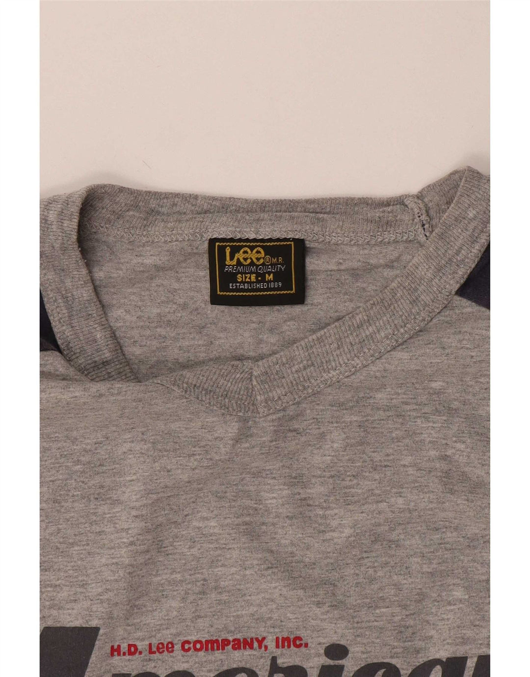 Ανδρικό γραφικό T-Shirt Lee Top Medium Grey Colourblock