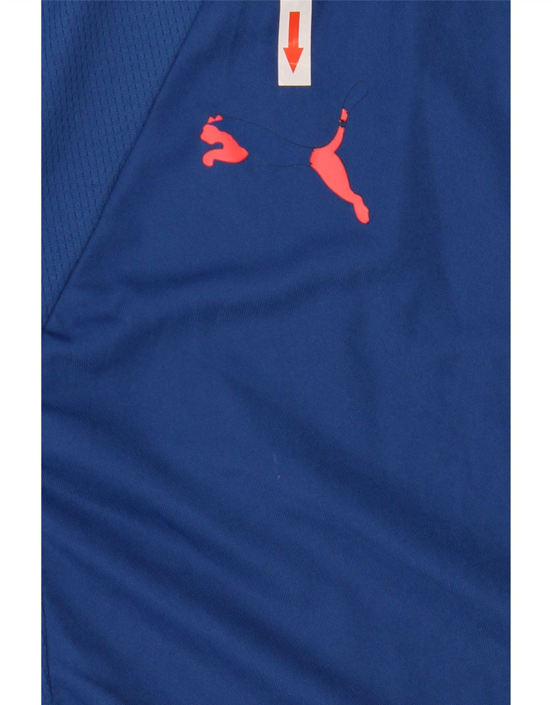 Ανδρικό T-Shirt PUMA Top Large Blue Colorblock Πολυεστέρας