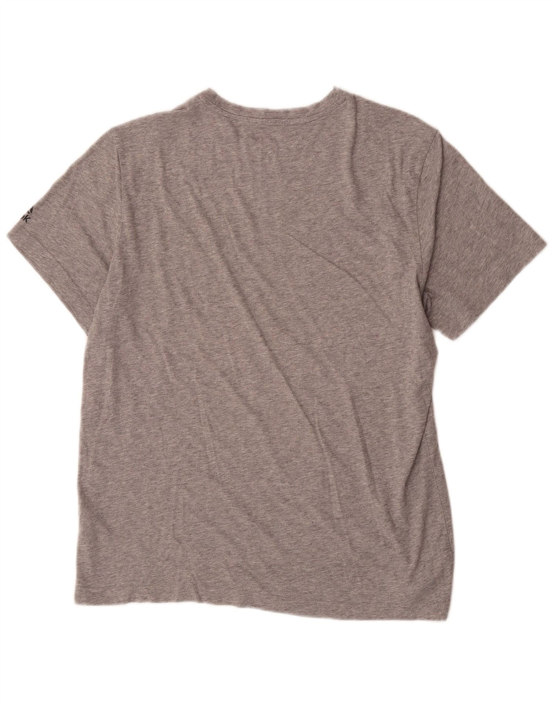 Ανδρικό γραφικό T-Shirt Reebok Top μεγάλο γκρι βαμβακερό