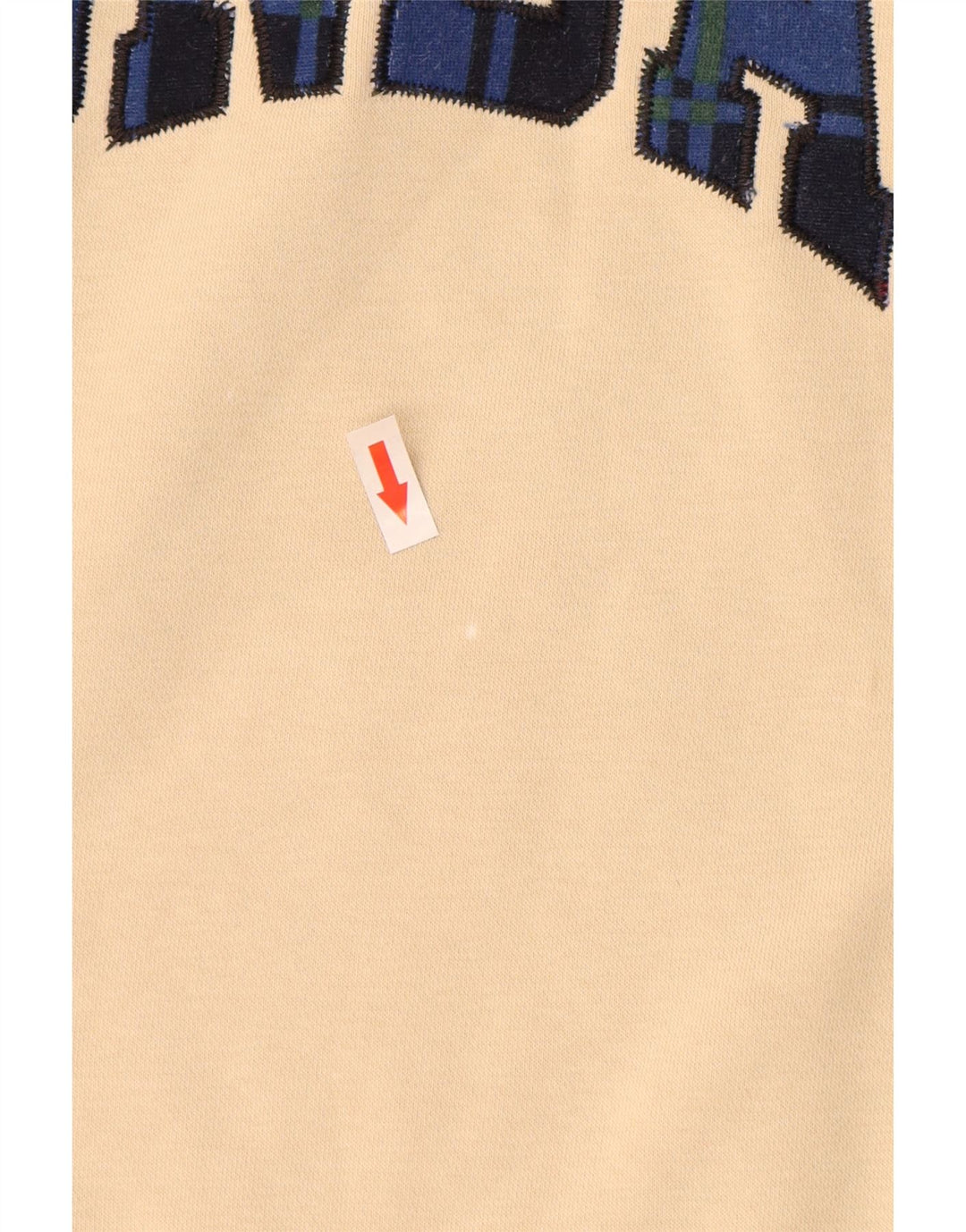 JORDAN Ανδρικό γραφικό φούτερ Jumper Μικρό μπεζ βαμβακερό