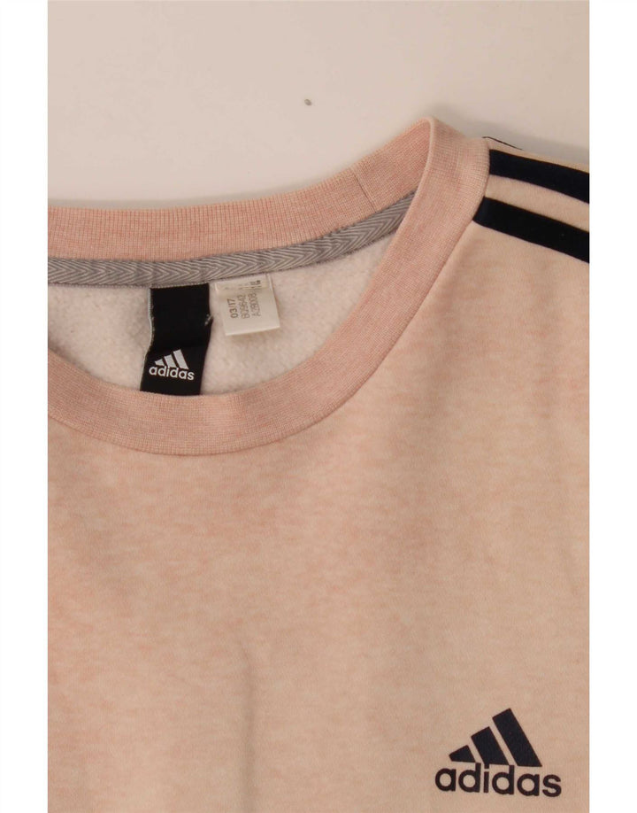 Ανδρικό φούτερ Adidas Graphic Regular Fit Jumper μεγάλο ροζ