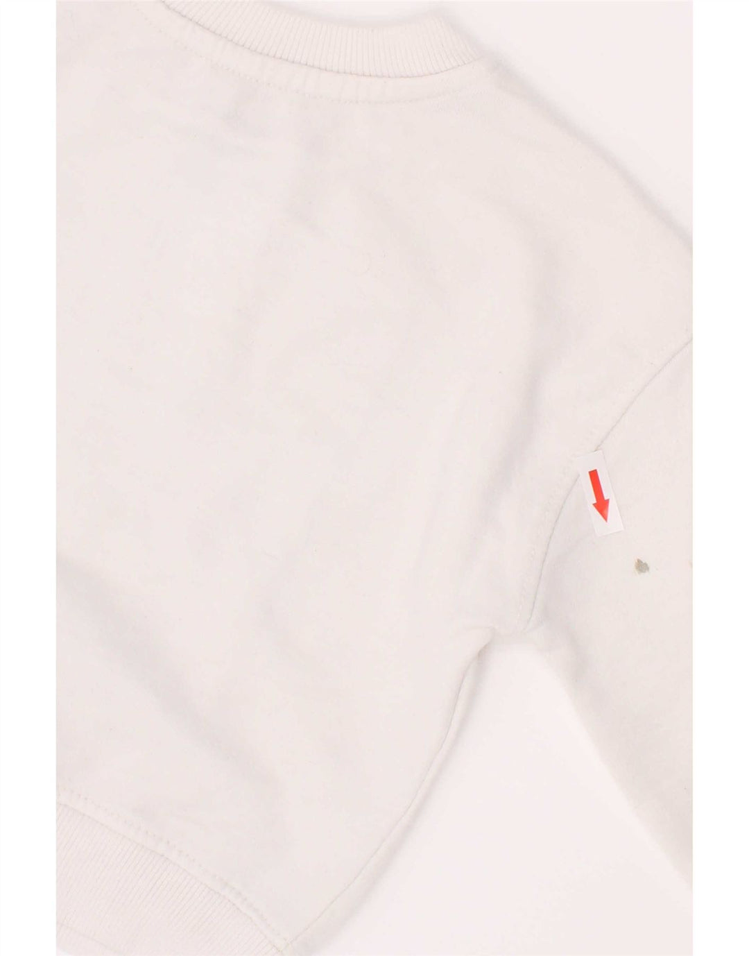 Γραφικό Φούτερ Dkny Boys Jumper 2-3 ετών Λευκό βαμβακερό