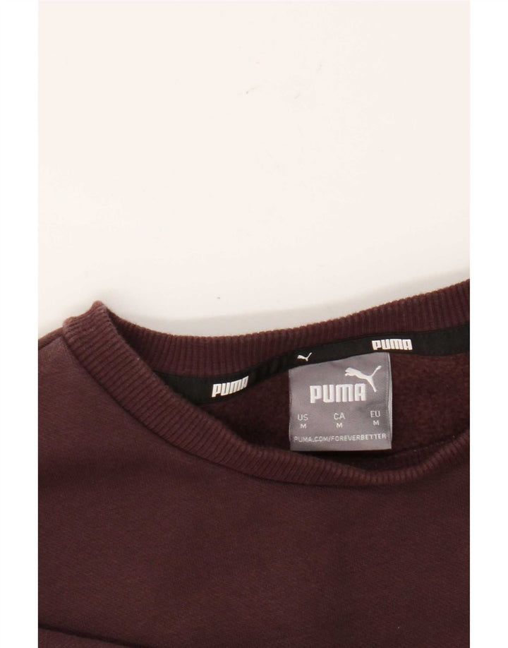 Ανδρικό γραφικό φούτερ Puma Jumper Μεσαίο καφέ