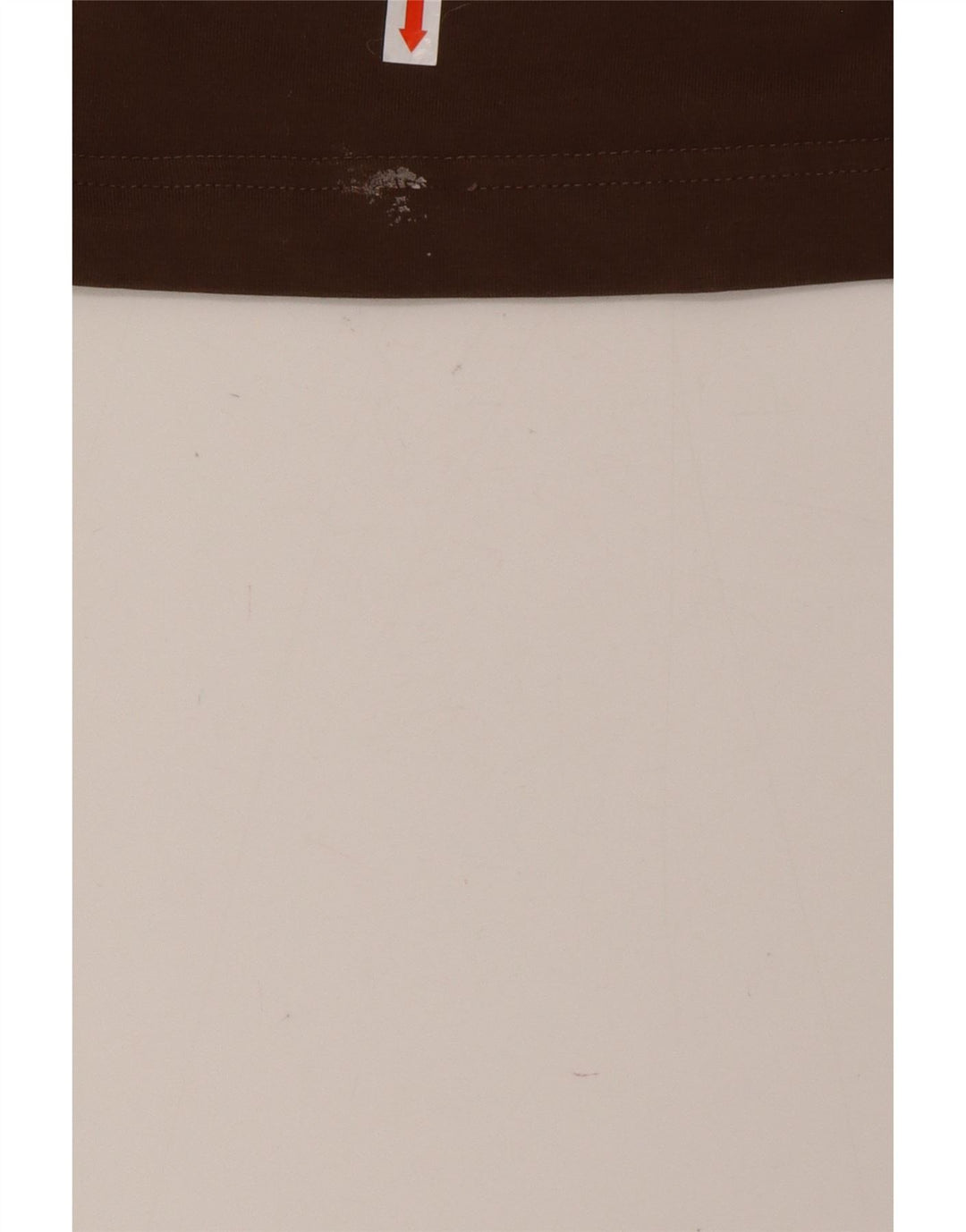 Ανδρικό γραφικό μπλουζάκι PUMA Top Large καφέ