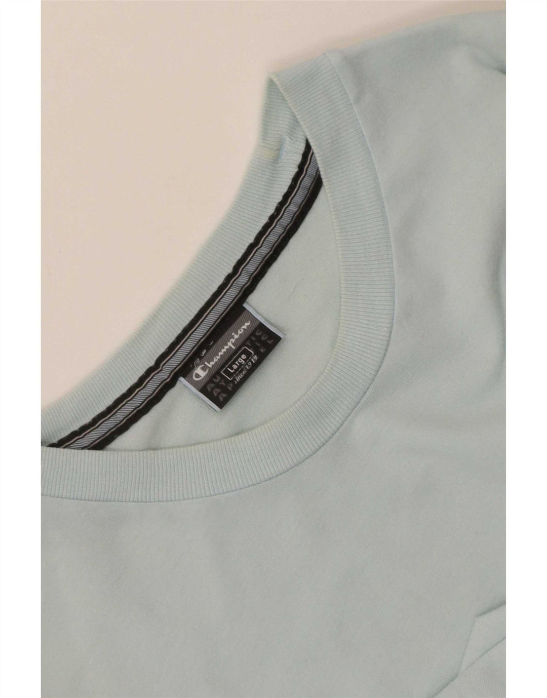 Ανδρικό T-Shirt Champion Graphic Top Large Blue