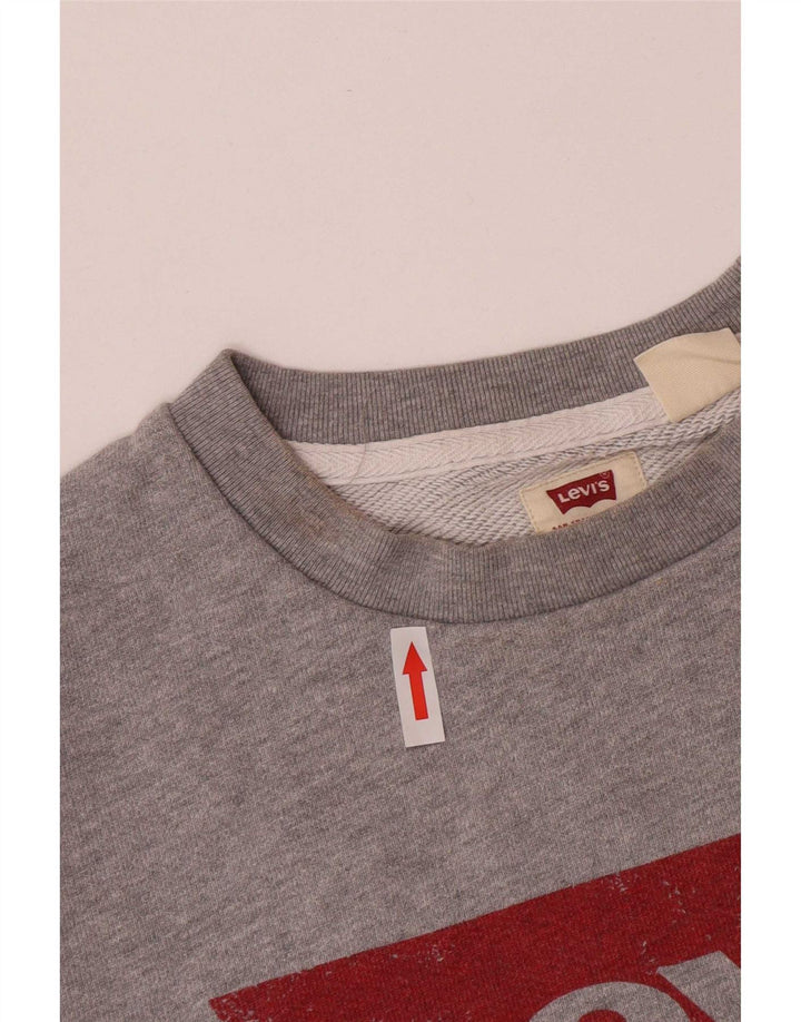 Ανδρικό γραφικό φούτερ Levi's Μικρό γκρι βαμβακερό