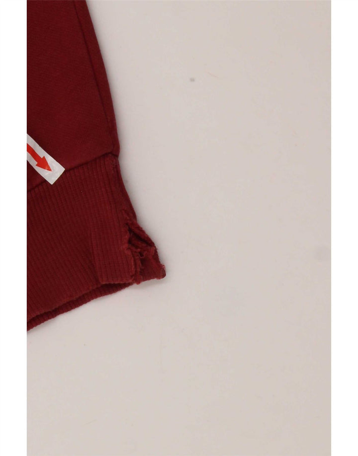 Ανδρικό γραφικό φούτερ Puma Jumper μεγάλο κόκκινο