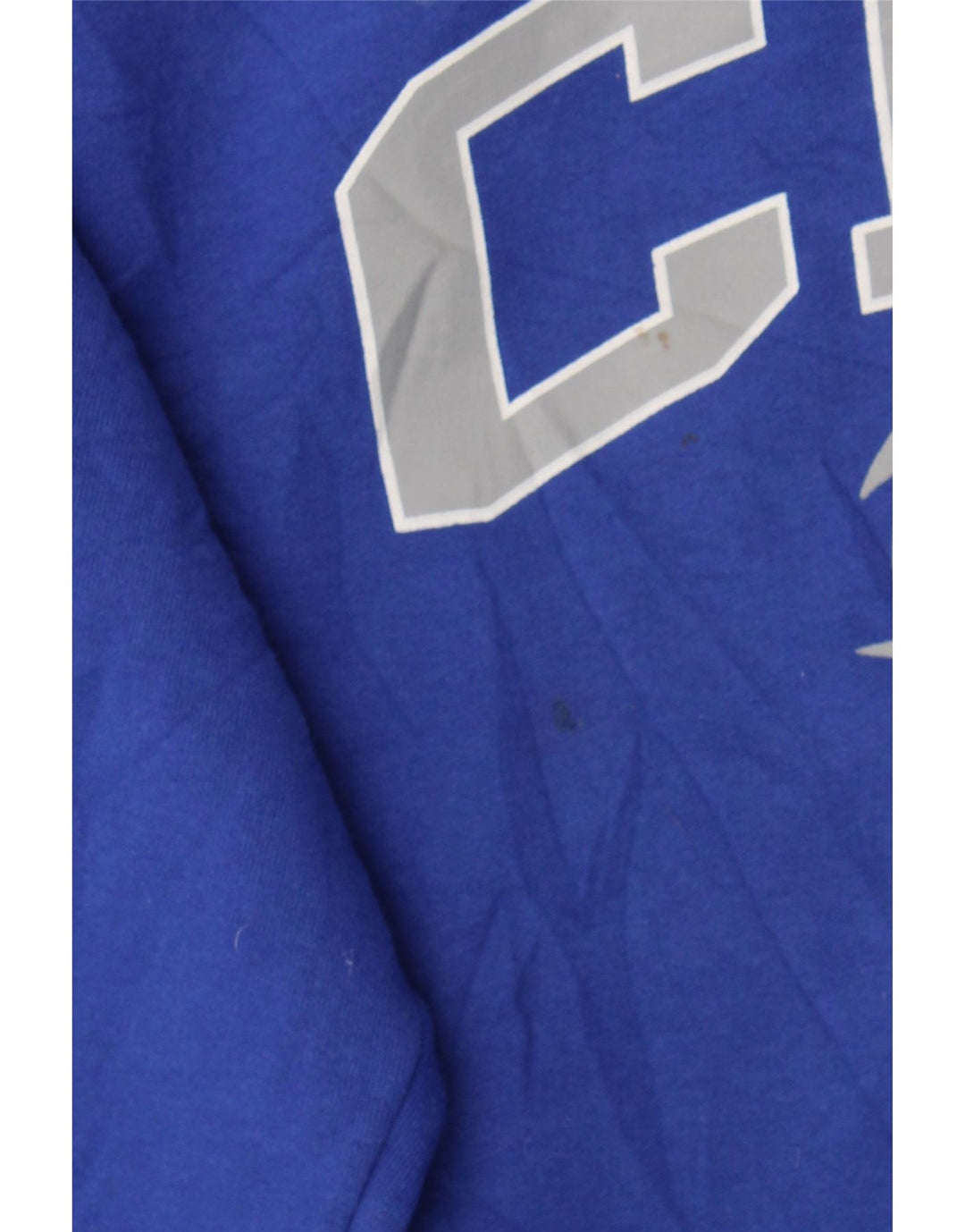 CHAMPION Mens Graphic Sweatshirt Jumper Medium Blue Cotton Vintage Champion and Second-Hand Champion from Messina Hembry 