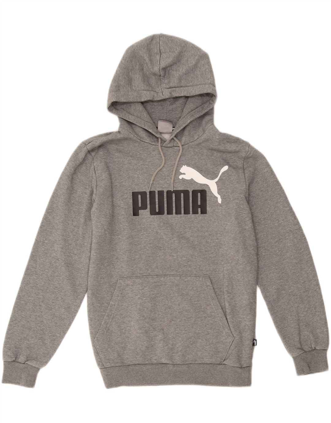 Ανδρικό γραφικό κουκούλα Puma Μικρό γκρι βαμβακερό
