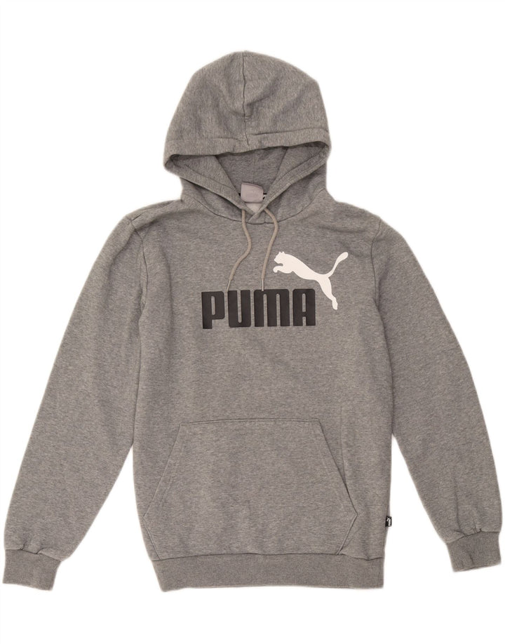 Ανδρικό γραφικό κουκούλα Puma Μικρό γκρι βαμβακερό
