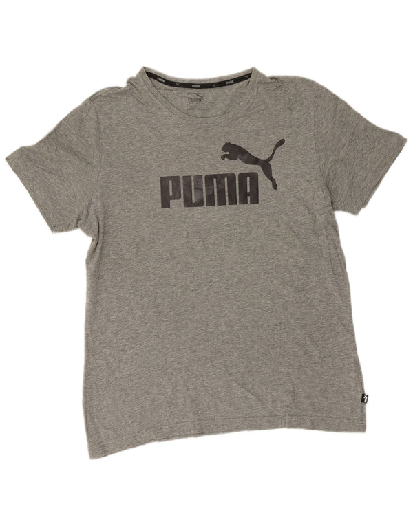 Ανδρικό γραφικό T-Shirt Puma Top Large Grey