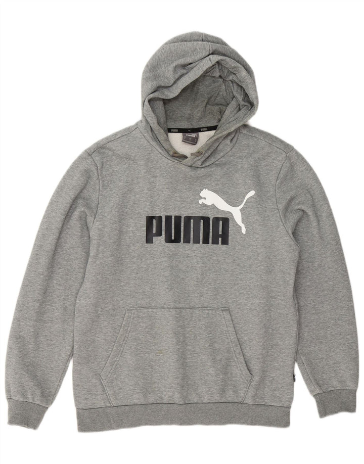 Ανδρικό γραφικό κουκούλα Puma, βαμβακερό μεσαίο γκρι