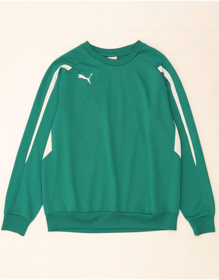 Ανδρικό φούτερ PUMA Jumper Μεγάλο πράσινο χρώμα, πολυεστέρας