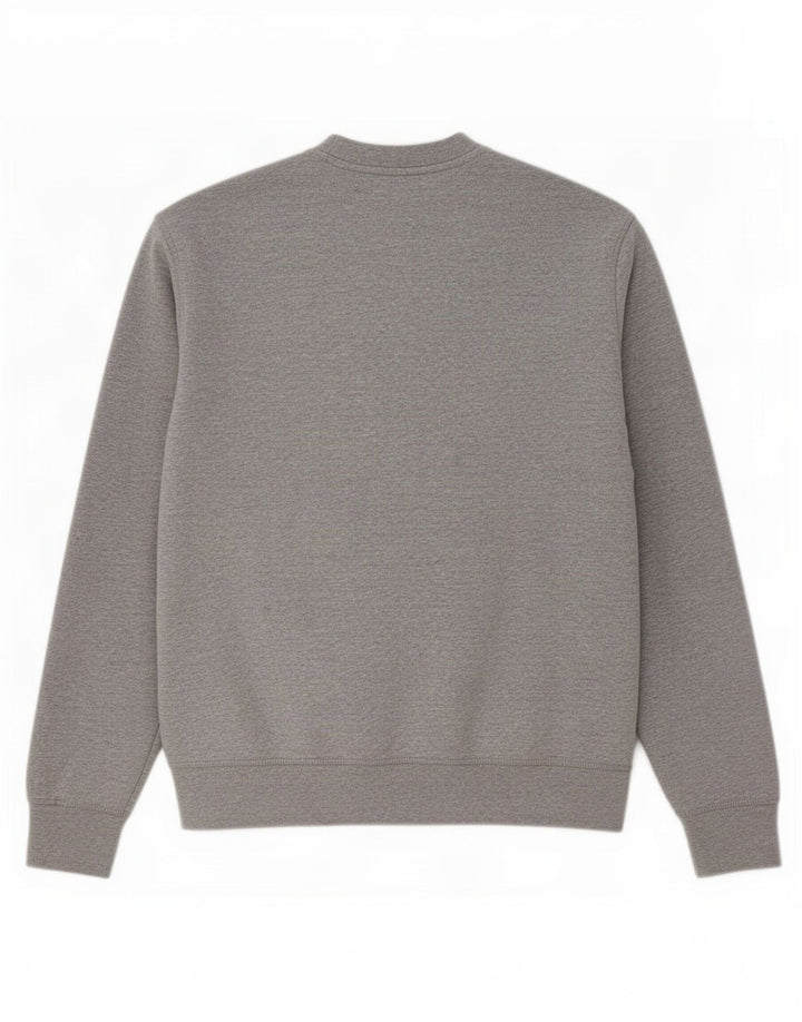 Ανδρικό φούτερ Dickies Jumper Μεσαίο γκρι βαμβακερό