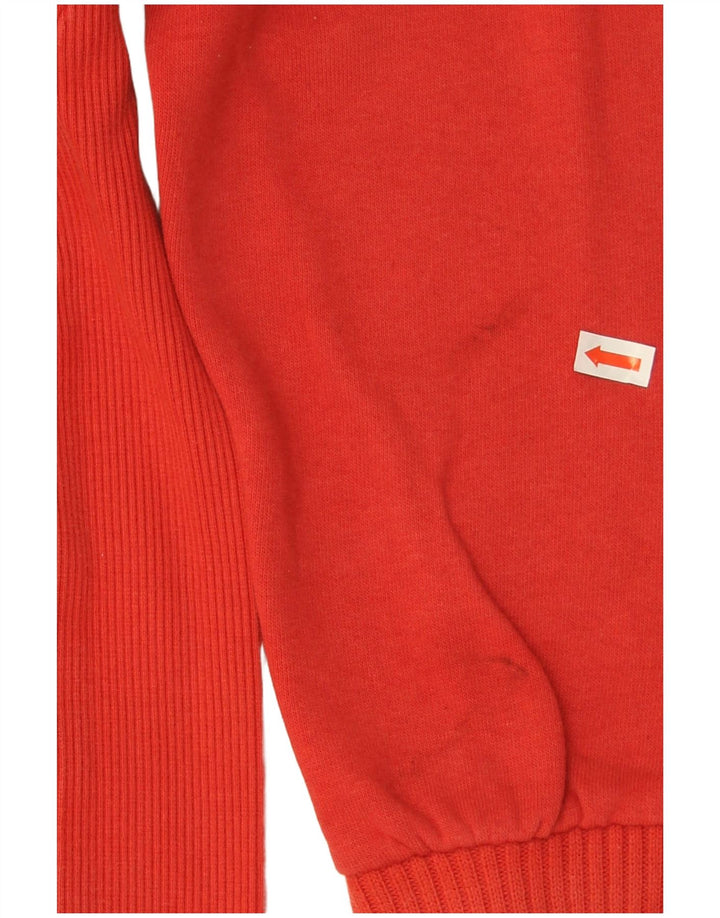 Ανδρικό γραφικό φούτερ Puma Jumper Μεσαίο κόκκινο βαμβακερό