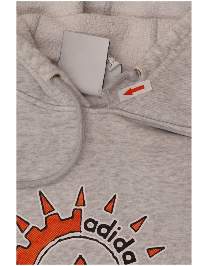 Ανδρικό γραφικό κουκούλα Adidas, μεσαίο γκρι βαμβακερό