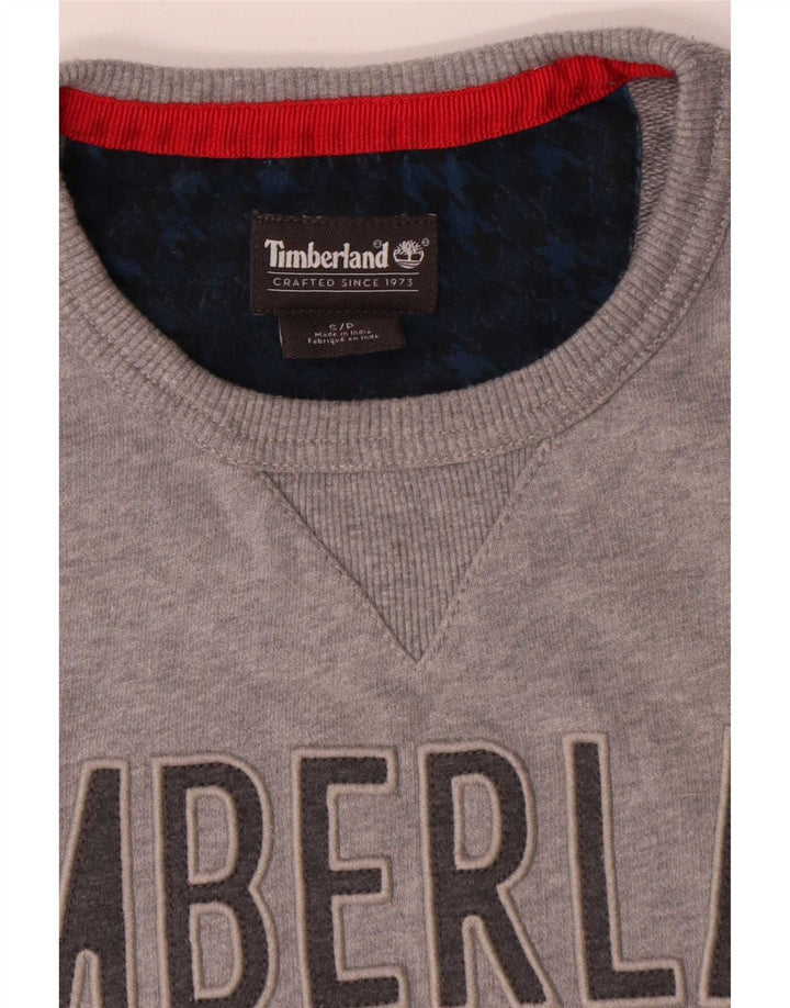 Ανδρικό γραφικό φούτερ Timberland Jumper Μικρό γκρι βαμβακερό