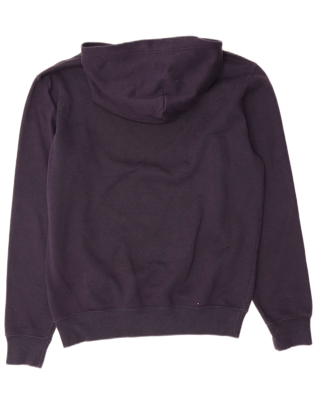 Champion Mens Graphic Hoodie Jumper Small Navy Blue