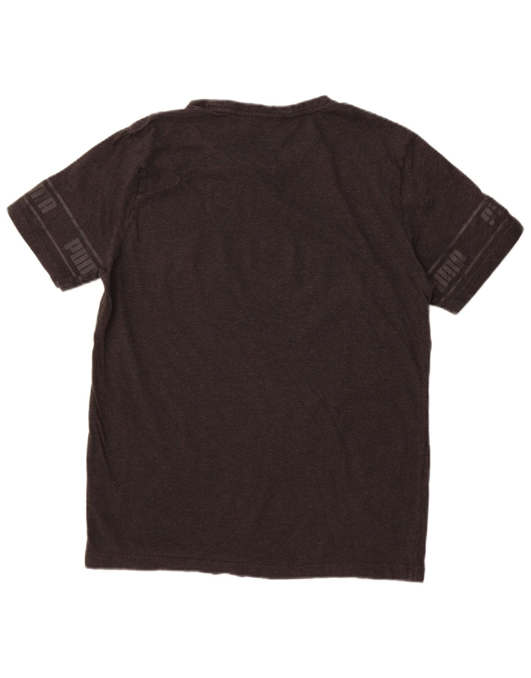 Ανδρικό γραφικό T-Shirt Puma Top Larg γκρι βαμβακερό