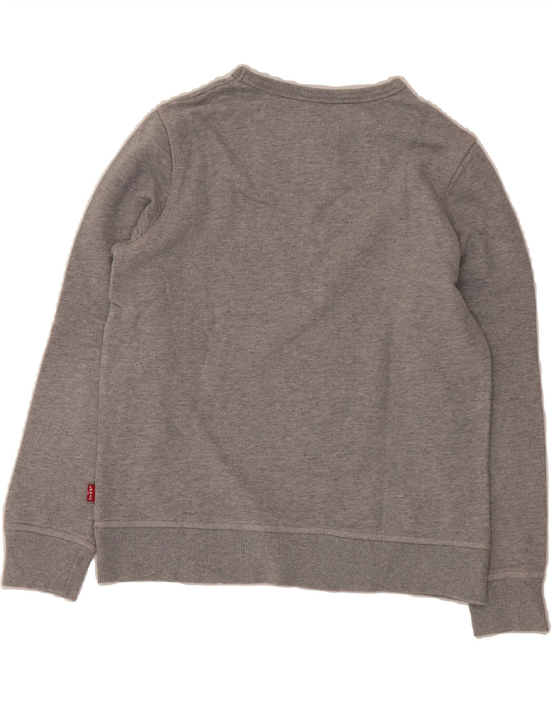 LEVI'S Girls Graphic Sweatshirt Jumper 13-14 Years Grey Vintage Levi's and Second-Hand Levi's from Messina Hembry 