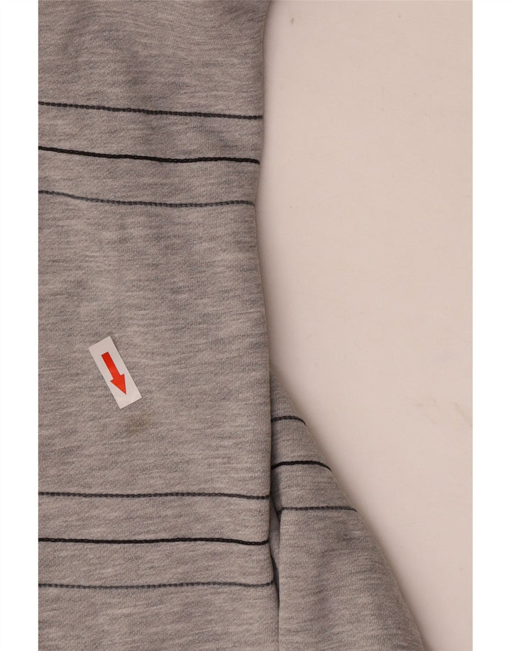 Ανδρικό φούτερ Adidas Jumper Μεγάλο γκρι βαμβακερό ριγέ