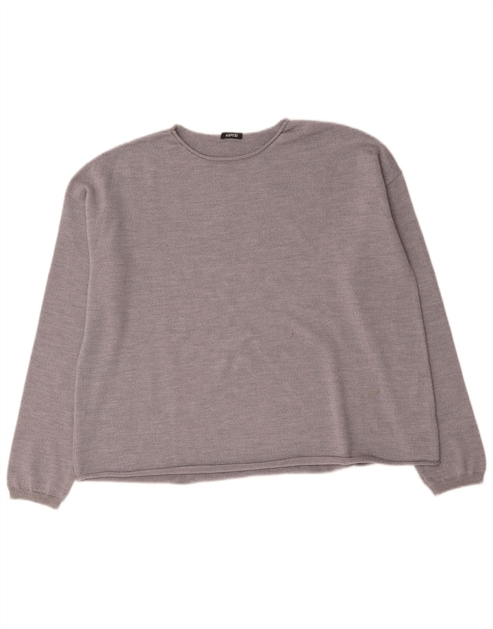 Aspesi Γυναικείο πουλόβερ με λαιμόκαυστο UK 16 Large Grey Wool