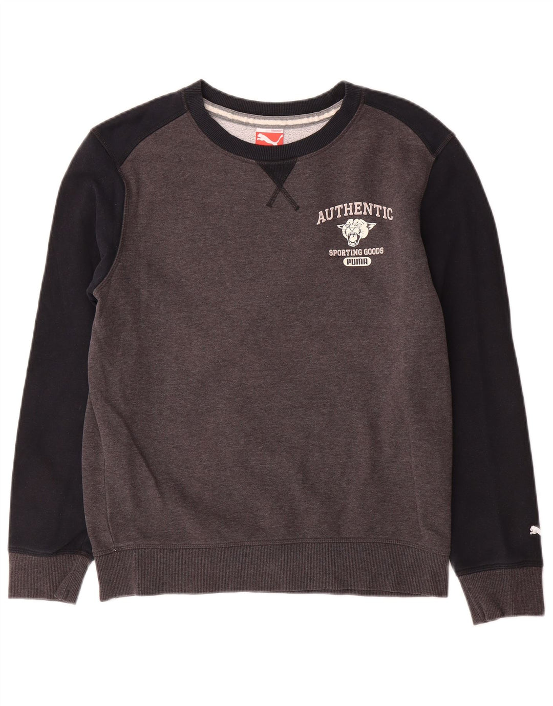 Ανδρικό γραφικό φούτερ Puma Jumper Small Grey Colourblock Βαμβακερό