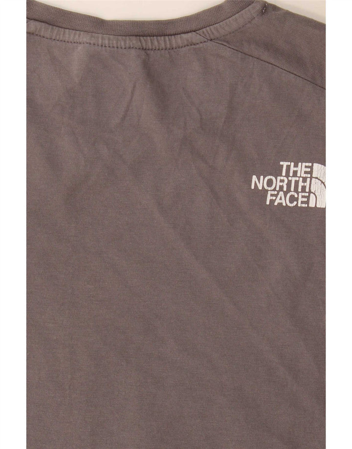 Ανδρικό κανονικό γραφικό μπλουζάκι North Face Top Small Grey Colourblock