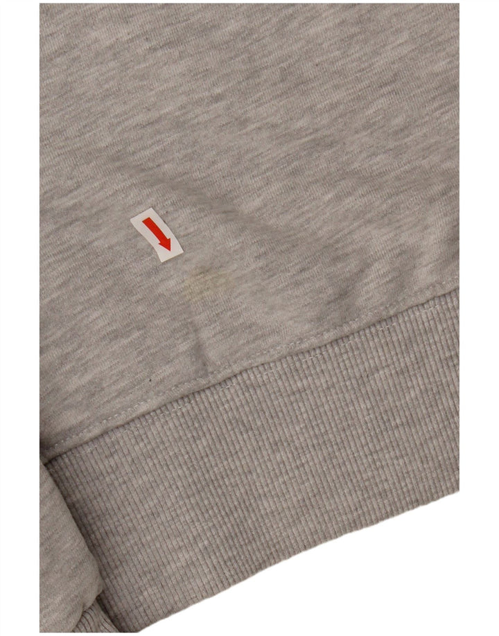 Ανδρικό γραφικό φούτερ Superdry, βαμβακερό μεσαίο γκρι