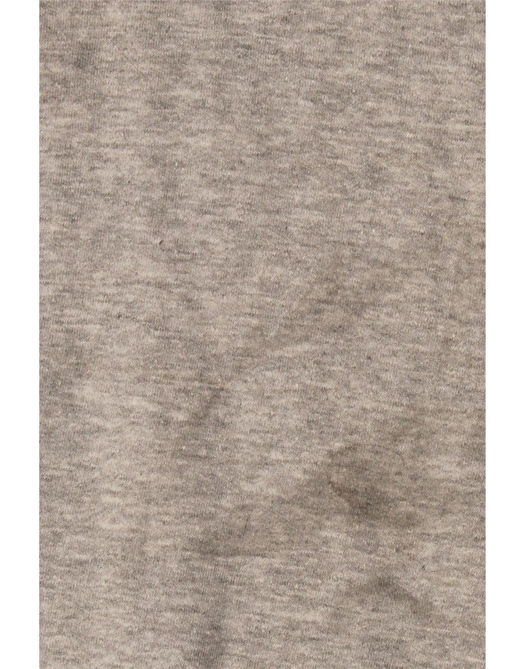 Ανδρική φούτερ Champion Jumper Μεσαίο γκρι βαμβακερό