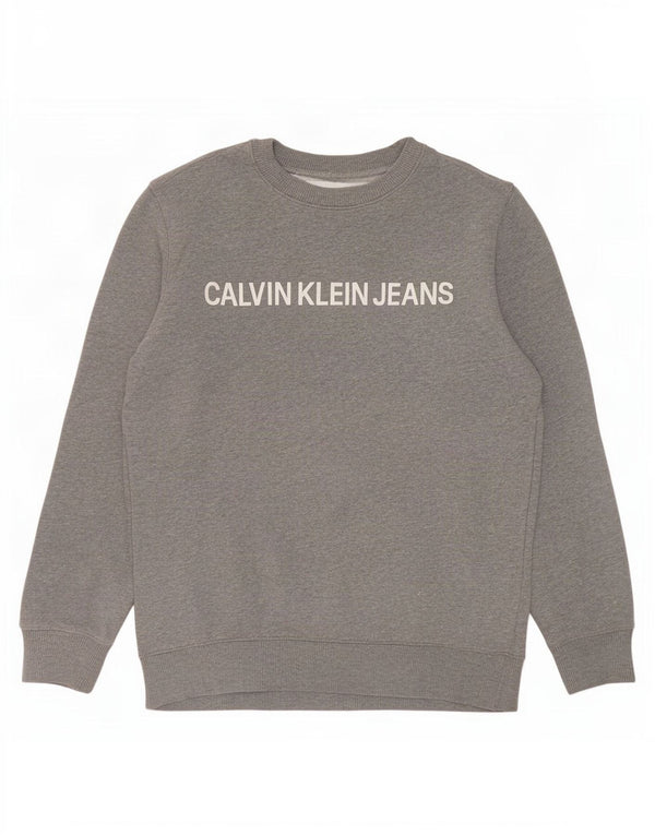 Calvin Klein Jeans Ανδρικό γραφικό φούτερ Jumper Μικρό γκρι βαμβακερό