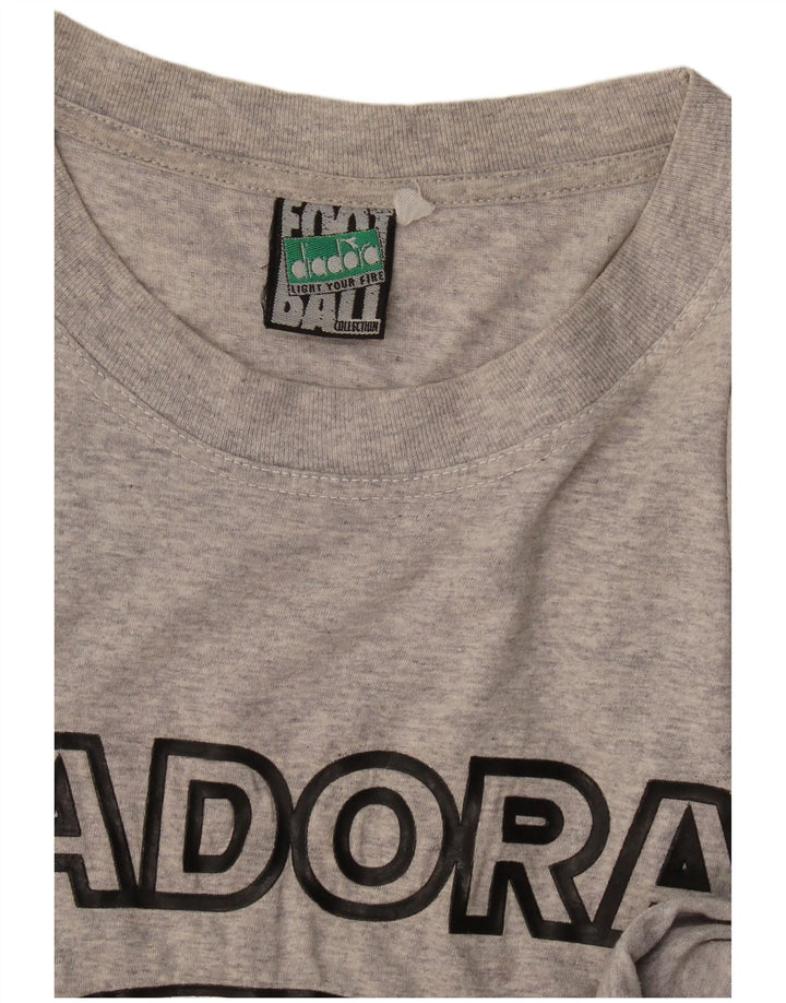 Ανδρικό γραφικό T-Shirt Diadora Top Large Grey