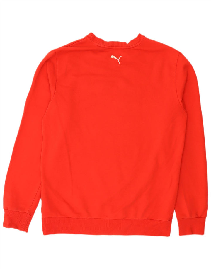 Ανδρικό γραφικό φούτερ Puma Jumper Μεσαίο κόκκινο βαμβακερό