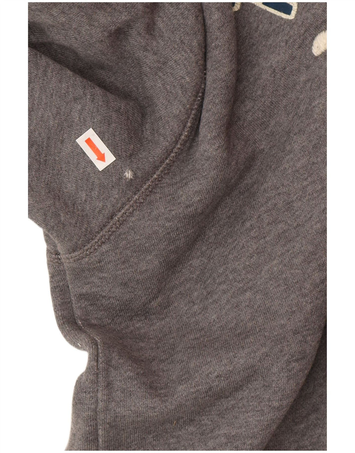 Ανδρικό γραφικό κουκούλα Timberland, μεσαίο γκρι