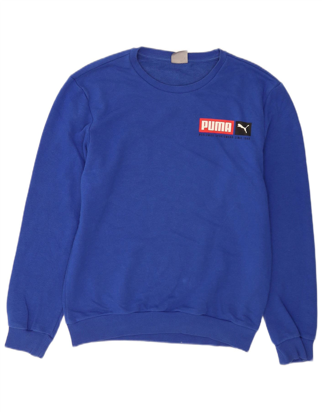Ανδρικό γραφικό φούτερ Puma Jumper Small Blue