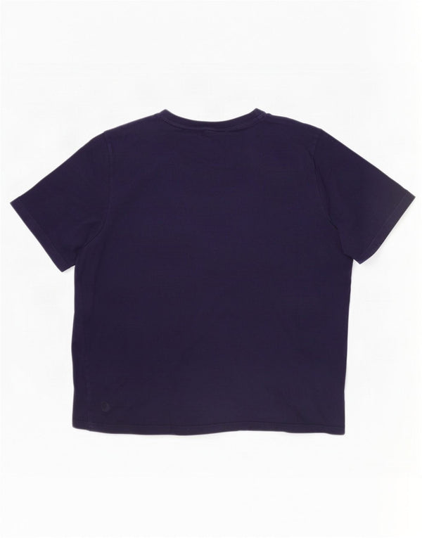 Ανδρικό κανονικό γραφικό μπλουζάκι Puma Top 2XL Navy Blue Cotton Sports