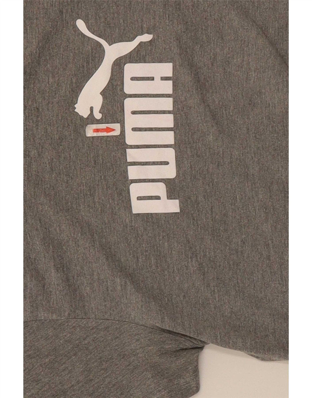 Γυναικείο γραφικό μπλουζάκι Puma Top UK 12 Medium Grey Flecked
