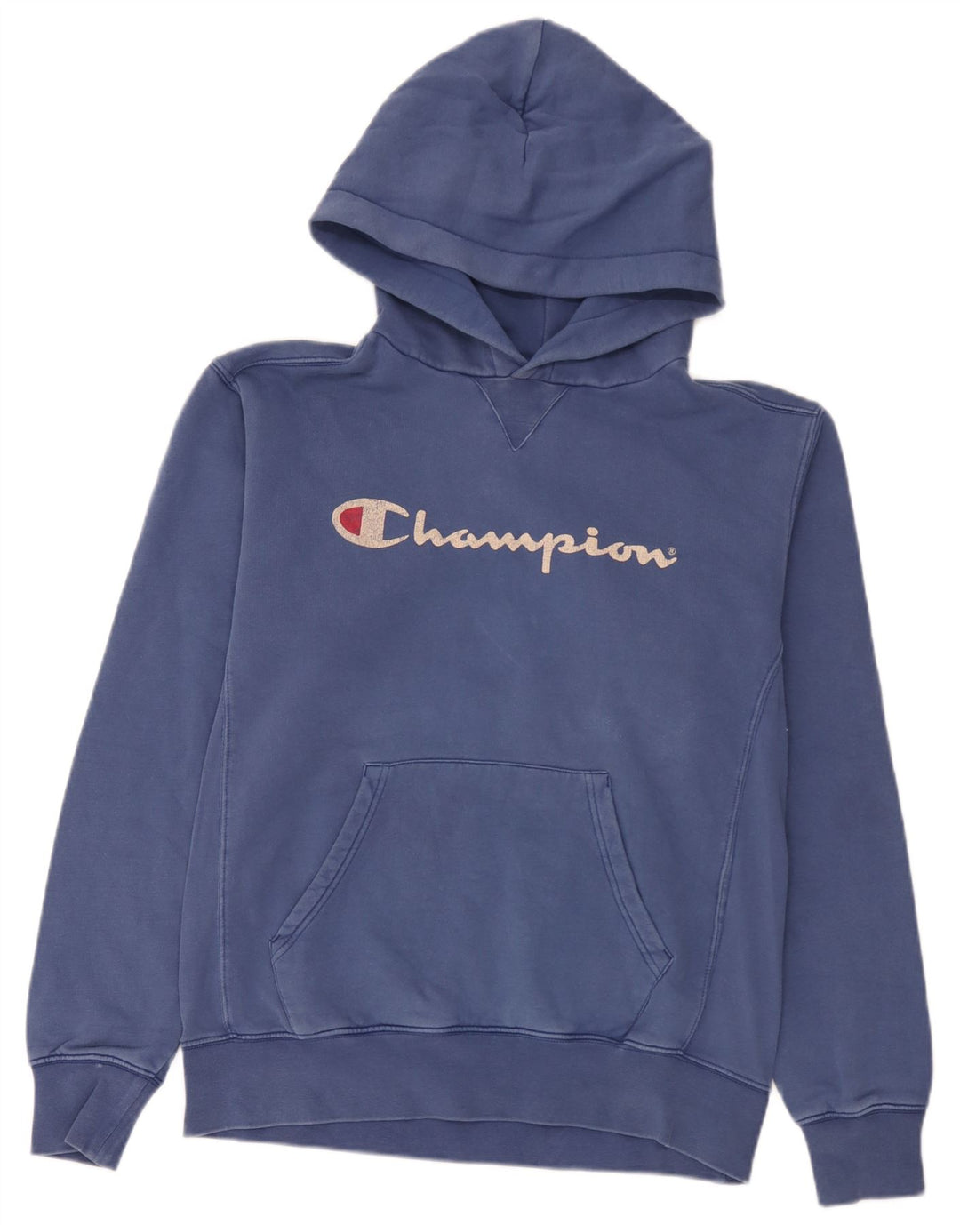 Champion Mens Graphic Hoodie Jumper Large Blue