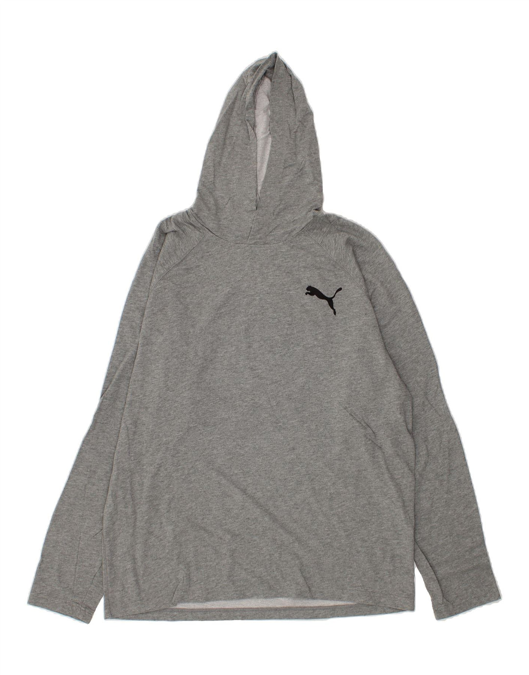PUMA Mens Hoodie Jumper 2XL Grey Cotton Vintage Puma and Second-Hand Puma from Messina Hembry 