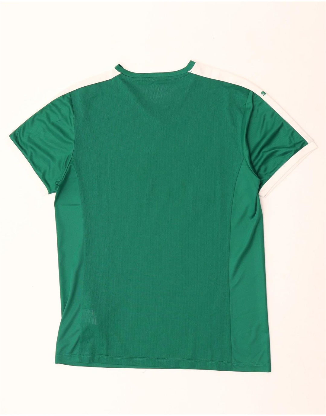 Ανδρικό T-Shirt Puma Top XL Πράσινο Colourblock Πολυεστέρας