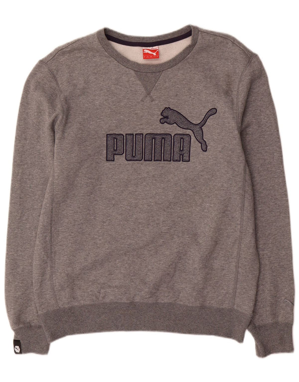 Ανδρική μπλούζα Puma Graphic Regular Fit Jumper Μεσαίο γκρι βαμβακερό