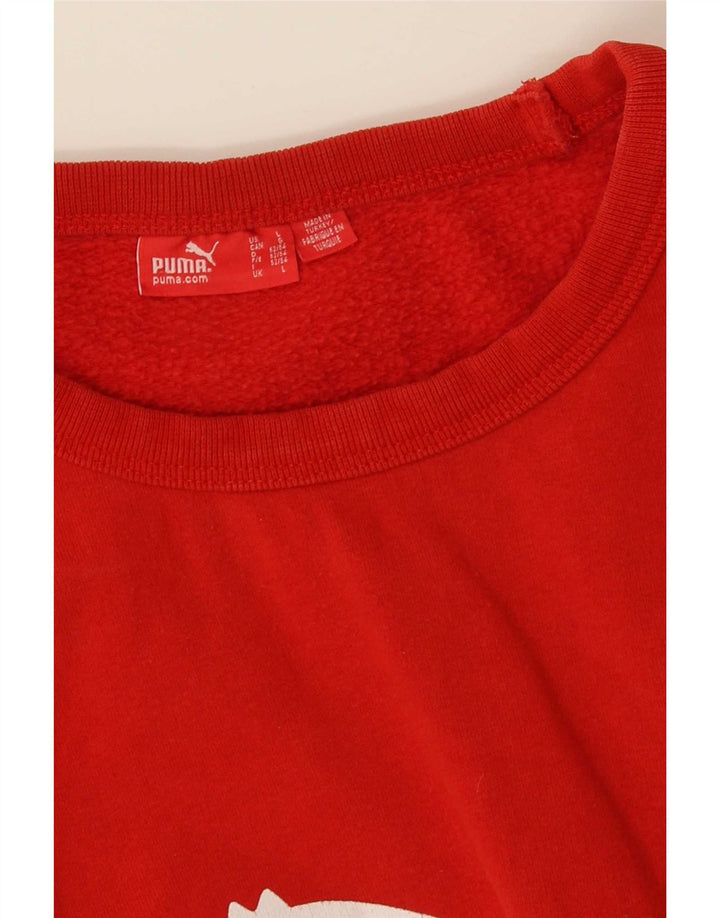 Ανδρικό γραφικό φούτερ Puma Jumper μεγάλο κόκκινο